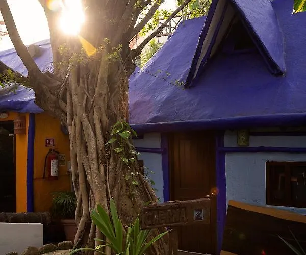 Mini-hôtel Amar Puerto Morelos