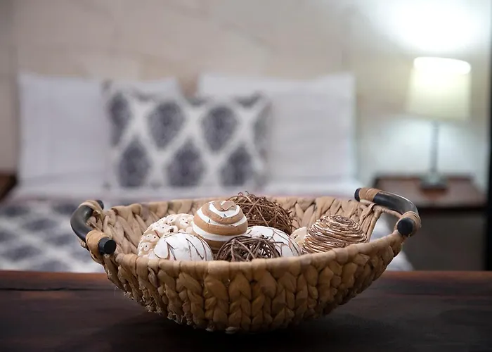 Amar Mini-hôtel Puerto Morelos
