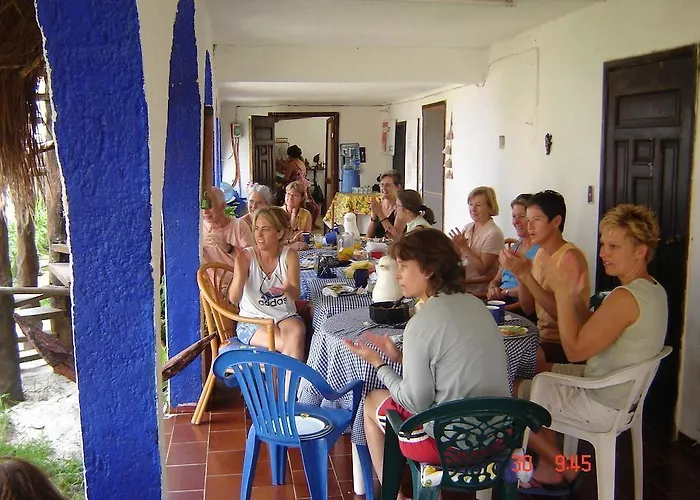 Amar Puerto Morelos